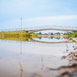 Radio Biwak 25.08 - Nisko. Dzisiaj koncert finałowy! (zdjęcia) 7 - Polskie Radio Rzeszów Radio Biwak 25.08 - Nisko. Dzisiaj koncert finałowy! (zdjęcia) - Polskie Radio Rzeszów