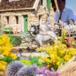 Dożynki diecezjalne w Katedrze Rzeszowskiej (fotorelacja) 8 - Polskie Radio Rzeszów Dożynki diecezjalne w Katedrze Rzeszowskiej (fotorelacja) - Polskie Radio Rzeszów