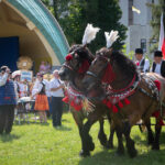 Dożynki diecezjalne w Katedrze Rzeszowskiej (fotorelacja) 35 - Polskie Radio Rzeszów Dożynki diecezjalne w Katedrze Rzeszowskiej (fotorelacja) - Polskie Radio Rzeszów