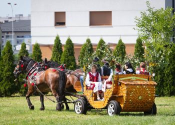 Dożynki diecezjalne w Katedrze Rzeszowskiej (fotorelacja) - Polskie Radio Rzeszów