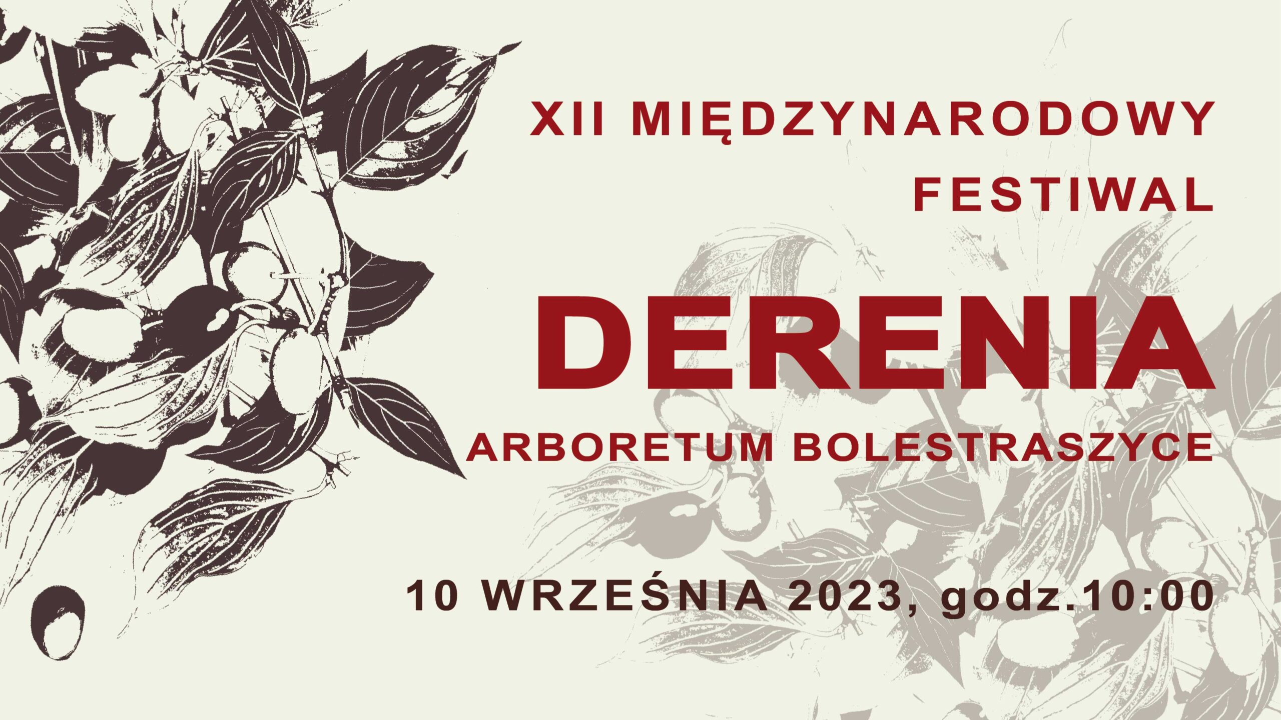 Festiwal Derenia 72 dpi scaled