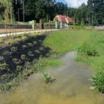 W Krośnie oddano do użytku park sensoryczny 4 - Polskie Radio Rzeszów W Krośnie oddano do użytku park sensoryczny - Polskie Radio Rzeszów