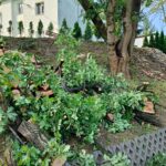 Nawałnice w Dębicy i w regionie (zdjęcia) 5 - Polskie Radio Rzeszów Nawałnice w Dębicy i w regionie (zdjęcia) - Polskie Radio Rzeszów