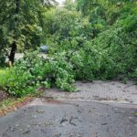 Nawałnice w Dębicy i w regionie (zdjęcia) 7 - Polskie Radio Rzeszów Nawałnice w Dębicy i w regionie (zdjęcia) - Polskie Radio Rzeszów