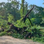 Nawałnice w Dębicy i w regionie (zdjęcia) 9 - Polskie Radio Rzeszów Nawałnice w Dębicy i w regionie (zdjęcia) - Polskie Radio Rzeszów