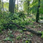 Nawałnice w Dębicy i w regionie (zdjęcia) 19 - Polskie Radio Rzeszów Nawałnice w Dębicy i w regionie (zdjęcia) - Polskie Radio Rzeszów