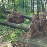 Nawałnice w Dębicy i w regionie (zdjęcia) 23 - Polskie Radio Rzeszów Nawałnice w Dębicy i w regionie (zdjęcia) - Polskie Radio Rzeszów