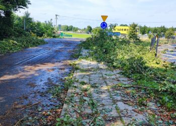 Trwa sprzątanie i&nbsp;liczenie strat po&nbsp;nawałnicy, która&nbsp;w&nbsp;sobotę przeszła nad&nbsp;Podkarpaciem