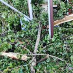 Nawałnice w Dębicy i w regionie (zdjęcia) 26 - Polskie Radio Rzeszów Nawałnice w Dębicy i w regionie (zdjęcia) - Polskie Radio Rzeszów