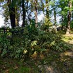 Nawałnice w Dębicy i w regionie (zdjęcia) 28 - Polskie Radio Rzeszów Nawałnice w Dębicy i w regionie (zdjęcia) - Polskie Radio Rzeszów