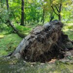 Nawałnice w Dębicy i w regionie (zdjęcia) 29 - Polskie Radio Rzeszów Nawałnice w Dębicy i w regionie (zdjęcia) - Polskie Radio Rzeszów