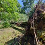 Nawałnice w Dębicy i w regionie (zdjęcia) 34 - Polskie Radio Rzeszów Nawałnice w Dębicy i w regionie (zdjęcia) - Polskie Radio Rzeszów