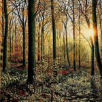 „Wacław Kochanowicz - malarstwo realistyczne” 2 - Polskie Radio Rzeszów „Wacław Kochanowicz - malarstwo realistyczne” - Polskie Radio Rzeszów