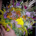 Ziele, wieńce i dożynki na ziemi przeworskiej 8 - Polskie Radio Rzeszów Ziele, wieńce i dożynki na ziemi przeworskiej - Polskie Radio Rzeszów