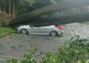Nawałnice w&nbsp;Dębicy i&nbsp;w&nbsp;regionie (zdjęcia)