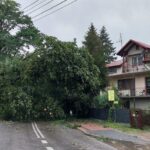 Nawałnice w Dębicy i w regionie (zdjęcia) 41 - Polskie Radio Rzeszów Nawałnice w Dębicy i w regionie (zdjęcia) - Polskie Radio Rzeszów