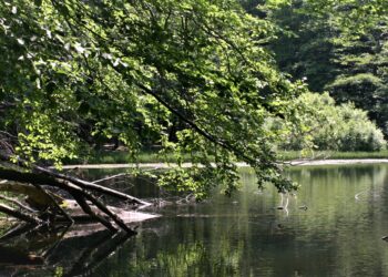 Słoneczna niedziela w&nbsp;Bieszczadach