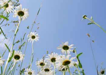 Wróciły upały. Będzie gorąco do&nbsp;środy