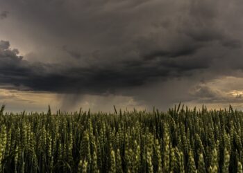 Dzisiaj na&nbsp;Podkarpaciu upał i&nbsp;burze z&nbsp;gradem