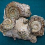 Wystawa i Giełda Minerałów i Wyrobów Jubilerskich w Rzeszowie 9 - Polskie Radio Rzeszów Wystawa i Giełda Minerałów i Wyrobów Jubilerskich w Rzeszowie - Polskie Radio Rzeszów