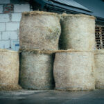 Premier: Przepraszamy za nasze błędy, ale broniliśmy interesów polskiej wsi wobec Brukseli, Kijowa i Berlina 59 - Polskie Radio Rzeszów Premier: Przepraszamy za nasze błędy, ale broniliśmy interesów polskiej wsi wobec Brukseli, Kijowa i Berlina - Polskie Radio Rzeszów