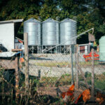 Premier: Przepraszamy za nasze błędy, ale broniliśmy interesów polskiej wsi wobec Brukseli, Kijowa i Berlina 19 - Polskie Radio Rzeszów Premier: Przepraszamy za nasze błędy, ale broniliśmy interesów polskiej wsi wobec Brukseli, Kijowa i Berlina - Polskie Radio Rzeszów