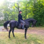 Pasjonada w lesie Brzeźnik 12 - Polskie Radio Rzeszów Pasjonada w lesie Brzeźnik - Polskie Radio Rzeszów