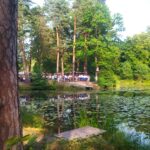 Pasjonada w lesie Brzeźnik 14 - Polskie Radio Rzeszów Pasjonada w lesie Brzeźnik - Polskie Radio Rzeszów