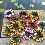 Pasjonada w lesie Brzeźnik 18 - Polskie Radio Rzeszów Pasjonada w lesie Brzeźnik - Polskie Radio Rzeszów