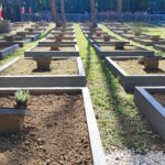 Para prezydencka odwiedziła cmentarz ofiar hitleryzmu w miejscowości Jagiełła-Niechciałki (zdjęcia) 25 - Polskie Radio Rzeszów Para prezydencka odwiedziła cmentarz ofiar hitleryzmu w miejscowości Jagiełła-Niechciałki (zdjęcia) - Polskie Radio Rzeszów