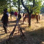 Gra terenowa od hasłem "Michał Smok" w Czarnej 19 - Polskie Radio Rzeszów Gra terenowa od hasłem "Michał Smok" w Czarnej - Polskie Radio Rzeszów