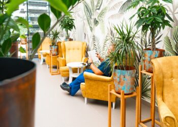 W&nbsp;szpitalu uniwersyteckim w&nbsp;Rzeszowie powstał zimowy ogród