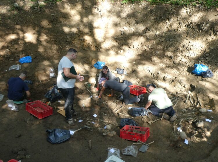 Szczątki 330 żołnierzy wydobyto ze zbiorowej mogiły na szczycie góry Manyłowa (zdjęcia)