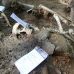 Szczątki 330 żołnierzy wydobyto ze zbiorowej mogiły na szczycie góry Manyłowa (zdjęcia) 11 - Polskie Radio Rzeszów Szczątki 330 żołnierzy wydobyto ze zbiorowej mogiły na szczycie góry Manyłowa (zdjęcia) - Polskie Radio Rzeszów