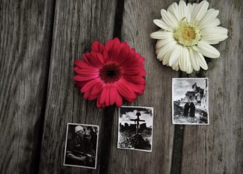 Poświęcono Serce dla Danuty Siedzikówny „Inki”