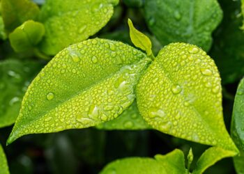 Ruszyła II edycja konkursu „Jestem eko”