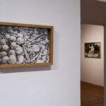 "Polifonia pamięci na granicach karpackich światów’’. Wystawa dr. Tomasza Kośka - Polskie Radio Rzeszów