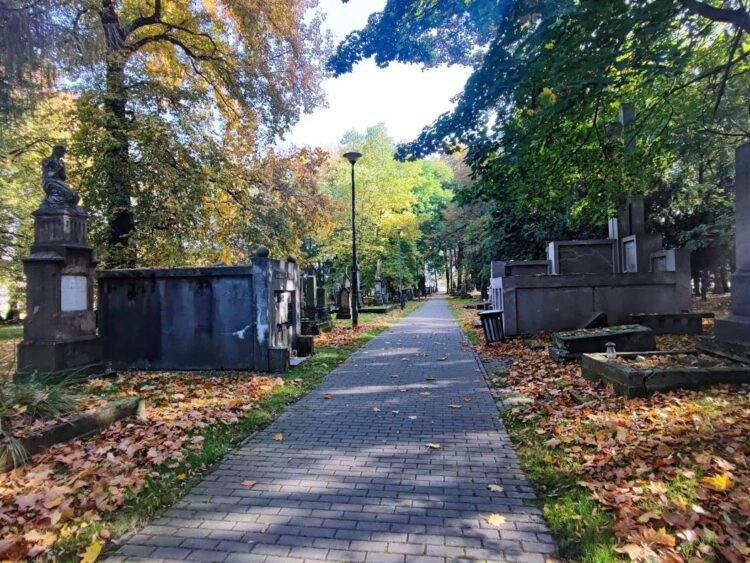 Rozpoczyna się kwesta na rzecz Starego Cmentarza w Rzeszowie 1 - Polskie Radio Rzeszów Rozpoczyna się kwesta na rzecz Starego Cmentarza w Rzeszowie