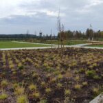 Budowa Parku Niepodległości w Kolbuszowej (zdjęcia) 4 - Polskie Radio Rzeszów Budowa Parku Niepodległości w Kolbuszowej (zdjęcia) - Polskie Radio Rzeszów