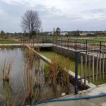 Budowa Parku Niepodległości w Kolbuszowej (zdjęcia) 5 - Polskie Radio Rzeszów Budowa Parku Niepodległości w Kolbuszowej (zdjęcia) - Polskie Radio Rzeszów