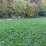 W Przemyślu ruszyła budowa basenu 5 - Polskie Radio Rzeszów W Przemyślu ruszyła budowa basenu - Polskie Radio Rzeszów