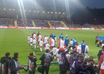 Szczęśliwa Stalowa Wola. Polacy gromią Estonię