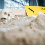 Ostatni dzień Podkarpackiego Kongresu Pamięci Narodowej (fotogaleria) - Polskie Radio Rzeszów