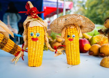 18. Jesienna Giełda Ogrodnicza w&nbsp;Boguchwale