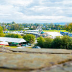 18. Jesienna Giełda Ogrodnicza w Boguchwale 44 - Polskie Radio Rzeszów 18. Jesienna Giełda Ogrodnicza w Boguchwale - Polskie Radio Rzeszów