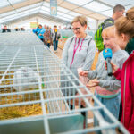 18. Jesienna Giełda Ogrodnicza w Boguchwale 51 - Polskie Radio Rzeszów 18. Jesienna Giełda Ogrodnicza w Boguchwale - Polskie Radio Rzeszów