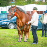 18. Jesienna Giełda Ogrodnicza w Boguchwale 52 - Polskie Radio Rzeszów 18. Jesienna Giełda Ogrodnicza w Boguchwale - Polskie Radio Rzeszów
