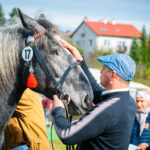 18. Jesienna Giełda Ogrodnicza w Boguchwale 54 - Polskie Radio Rzeszów 18. Jesienna Giełda Ogrodnicza w Boguchwale - Polskie Radio Rzeszów