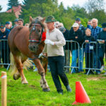 18. Jesienna Giełda Ogrodnicza w Boguchwale 55 - Polskie Radio Rzeszów 18. Jesienna Giełda Ogrodnicza w Boguchwale - Polskie Radio Rzeszów