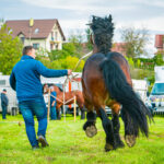 18. Jesienna Giełda Ogrodnicza w Boguchwale 56 - Polskie Radio Rzeszów 18. Jesienna Giełda Ogrodnicza w Boguchwale - Polskie Radio Rzeszów